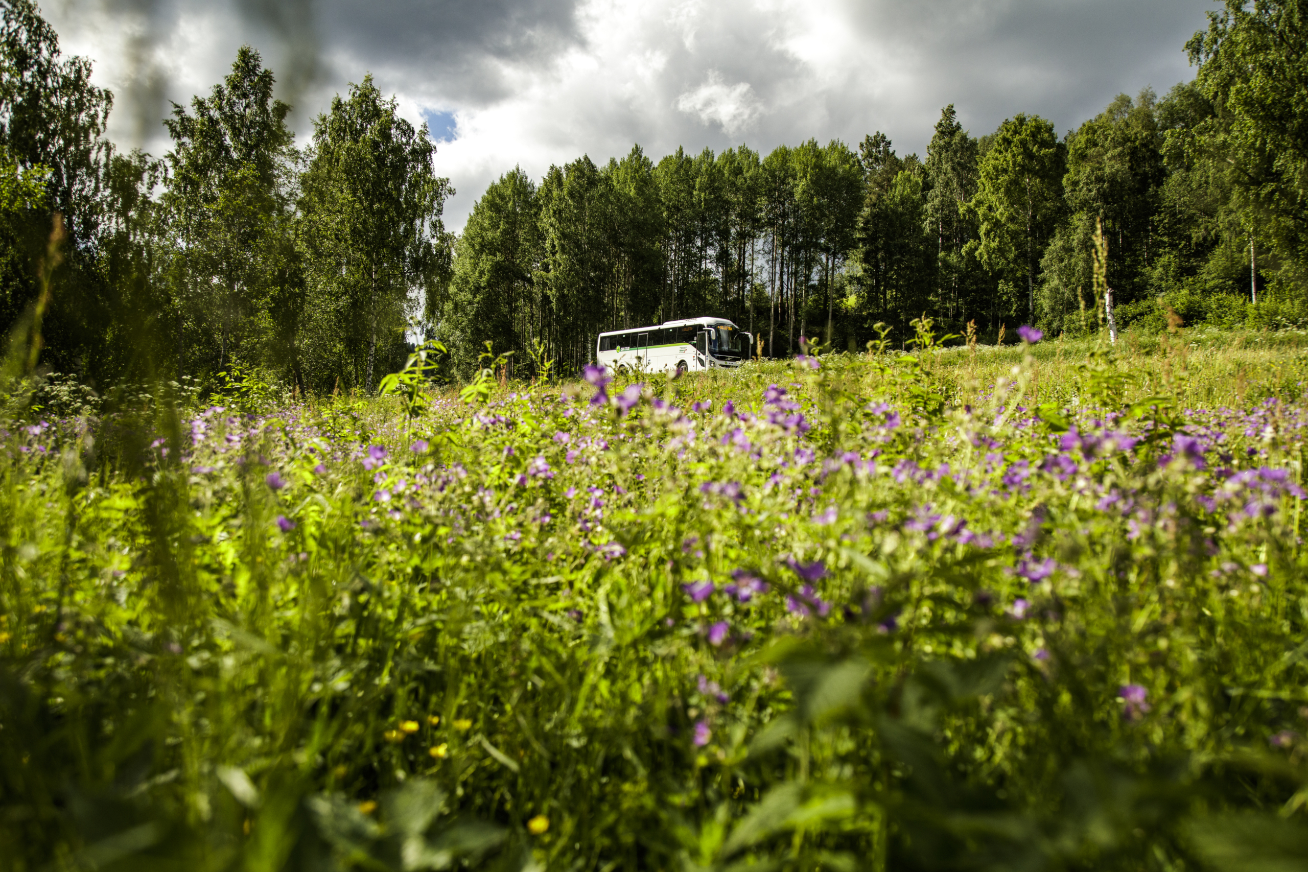 Sommartidtabell från 15 juni