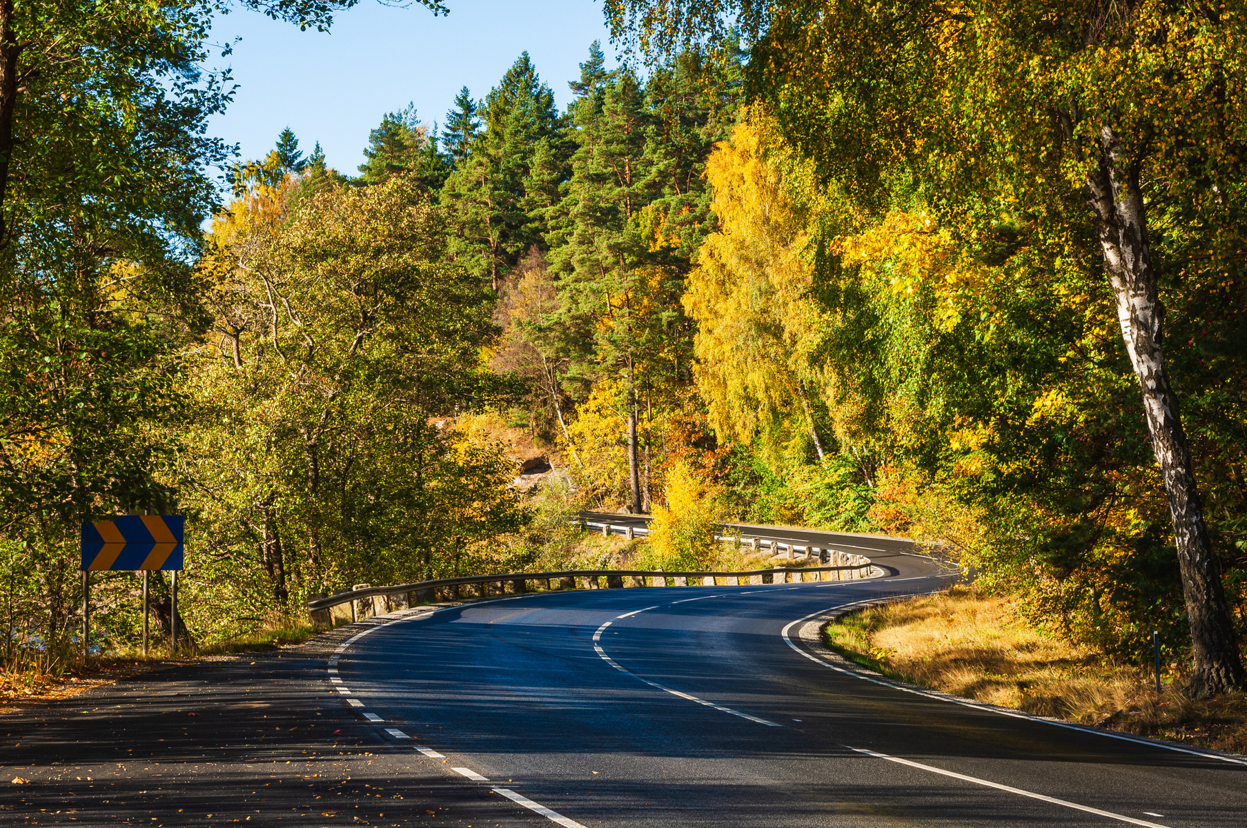 mp43929083-winding-road-in-autumn-landscape